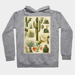 Botanical Cacti Hoodie